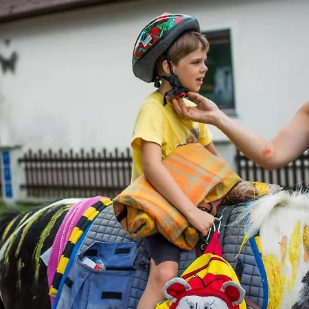 Апартаменты Gaudihof Kaltenbrunner *